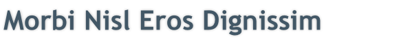 Morbi Nisl Eros Dignissim
